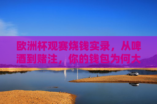 欧洲杯观赛烧钱实录,从啤酒到赌注,你的钱包为何大出血?欧洲杯观赛烧钱实录,啤酒赌注掏空钱包 欧洲杯观赛烧钱实录,从啤酒到赌注,你的钱包为何大出血?欧洲杯观赛烧钱实录,啤酒赌注掏空钱包