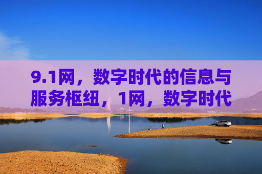 9.1网，数字时代的信息与服务枢纽，1网，数字时代的信息与服务枢纽