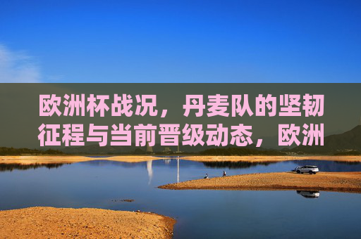欧洲杯战况，丹麦队的坚韧征程与当前晋级动态，欧洲杯，丹麦队的坚韧征程与晋级动态