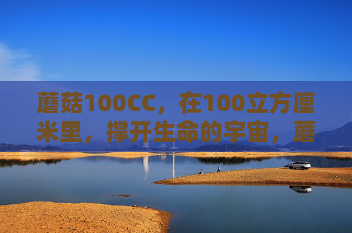 蘑菇100CC,在100立方厘米里,撑开生命的宇宙,蘑菇100CC,立方厘米里的生命宇宙 蘑菇100CC,在100立方厘米里,撑开生命的宇宙,蘑菇100CC,立方厘米里的生命宇宙