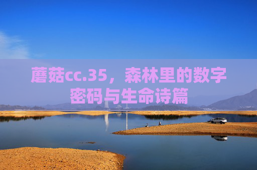 蘑菇cc.35,森林里的数字密码与生命诗篇 蘑菇cc.35,森林里的数字密码与生命诗篇