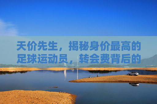 天价先生，揭秘身价最高的足球运动员，转会费背后的传奇与价值，天价先生，转会费背后的足球传奇与价值
