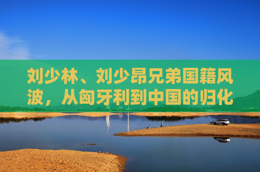 刘少林、刘少昂兄弟国籍风波,从匈牙利到中国的归化之路与争议,刘少林刘少昂兄弟国籍风波,归化之路与争议 刘少林、刘少昂兄弟国籍风波,从匈牙利到中国的归化之路与争议,刘少林刘少昂兄弟国籍风波,归化之路与争议