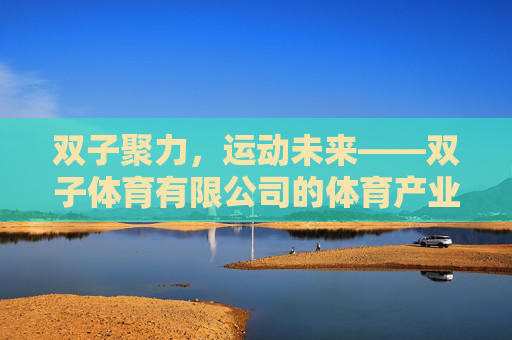双子聚力,运动未来——双子体育有限公司的体育产业之路,双子聚力,双子体育有限公司的体育产业之路 双子聚力,运动未来——双子体育有限公司的体育产业之路,双子聚力,双子体育有限公司的体育产业之路