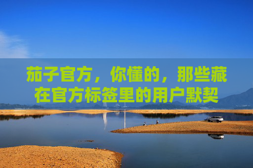 茄子官方,你懂的,那些藏在官方标签里的用户默契 茄子官方,你懂的,那些藏在官方标签里的用户默契