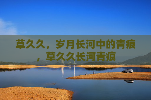 草久久,岁月长河中的青痕,草久久长河青痕 草久久,岁月长河中的青痕,草久久长河青痕