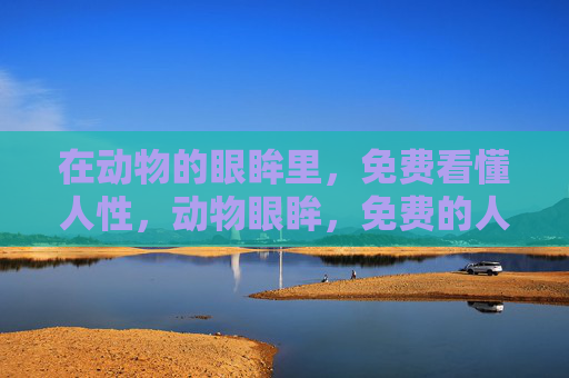 在动物的眼眸里，免费看懂人性，动物眼眸，免费的人性之镜