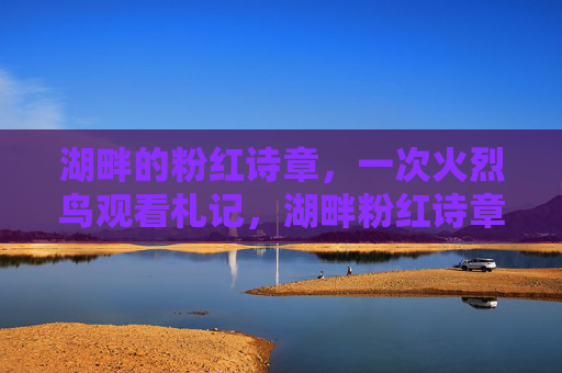 湖畔的粉红诗章,一次火烈鸟观看札记,湖畔粉红诗章,火烈鸟札记 湖畔的粉红诗章,一次火烈鸟观看札记,湖畔粉红诗章,火烈鸟札记
