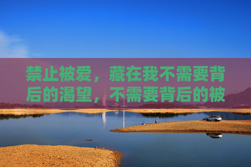 禁止被爱，藏在我不需要背后的渴望，不需要背后的被爱渴望
