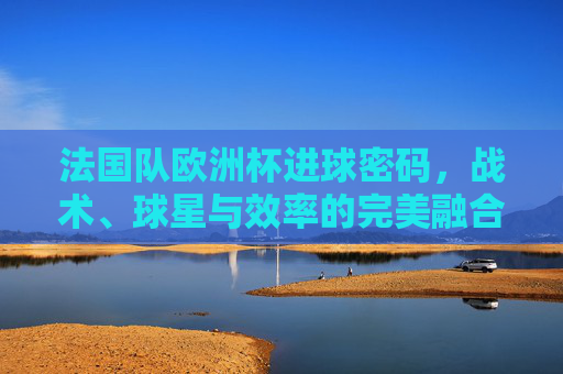 法国队欧洲杯进球密码，战术、球星与效率的完美融合，法国队欧洲杯进球密码，战术、球星与效率的完美融合