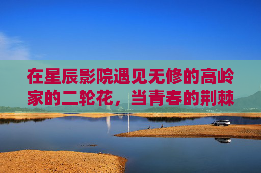 在星辰影院遇见无修的高岭家的二轮花,当青春的荆棘与真实刺破屏幕,星辰银幕无修,高岭家的二轮花,青春荆棘刺破真实 在星辰影院遇见无修的高岭家的二轮花,当青春的荆棘与真实刺破屏幕,星辰银幕无修,高岭家的二轮花,青春荆棘刺破真实