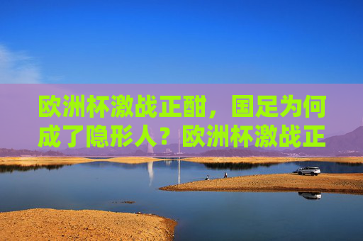 欧洲杯激战正酣,国足为何成了隐形人?欧洲杯激战正酣,国足缘何成隐形人? 欧洲杯激战正酣,国足为何成了隐形人?欧洲杯激战正酣,国足缘何成隐形人?