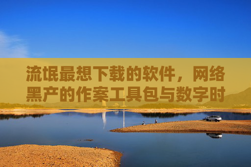 流氓最想下载的软件,网络黑产的作案工具包与数字时代的隐形帮凶,流氓软件,网络黑产作案工具包与数字时代隐形帮凶 流氓最想下载的软件,网络黑产的作案工具包与数字时代的隐形帮凶,流氓软件,网络黑产作案工具包与数字时代隐形帮凶