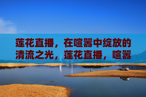 莲花直播，在喧嚣中绽放的清流之光，莲花直播，喧嚣中的清流之光