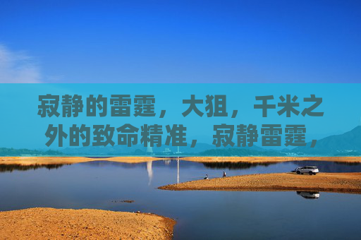寂静的雷霆,大狙,千米之外的致命精准,寂静雷霆,千米大狙的致命精准 寂静的雷霆,大狙,千米之外的致命精准,寂静雷霆,千米大狙的致命精准