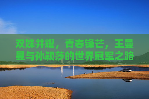 双姝并耀，青春锋芒，王曼昱与孙颖莎的世界冠军之路，王曼昱孙颖莎，双姝并耀的青春夺冠路