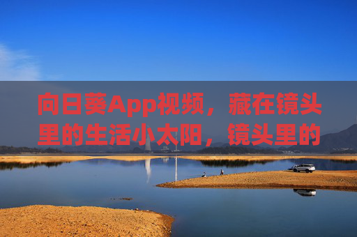 向日葵App视频，藏在镜头里的生活小太阳，镜头里的生活小太阳