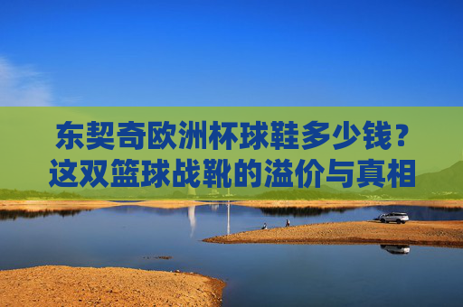 东契奇欧洲杯球鞋多少钱？这双篮球战靴的溢价与真相，东契奇欧洲杯球鞋溢价真相，价格虚高还是物有所值？