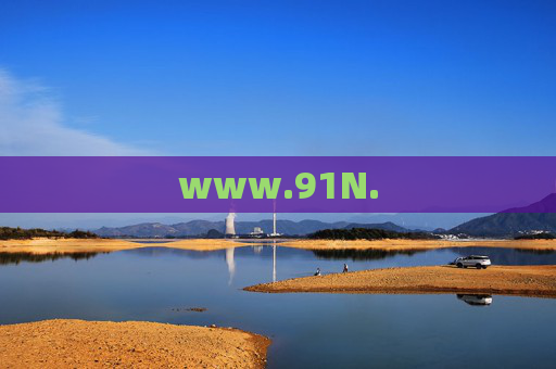www.91N. www.91N.