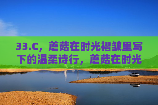 33.C,蘑菇在时光褶皱里写下的温柔诗行,蘑菇在时光褶皱里写下的温柔诗行 33.C,蘑菇在时光褶皱里写下的温柔诗行,蘑菇在时光褶皱里写下的温柔诗行