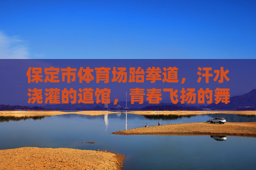 保定市体育场跆拳道,汗水浇灌的道馆,青春飞扬的舞台,保定市体育场跆拳道,汗水浇灌青春,道馆飞扬梦想 保定市体育场跆拳道,汗水浇灌的道馆,青春飞扬的舞台,保定市体育场跆拳道,汗水浇灌青春,道馆飞扬梦想