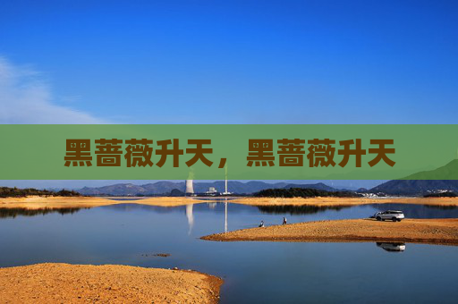 黑蔷薇升天,黑蔷薇升天 黑蔷薇升天,黑蔷薇升天