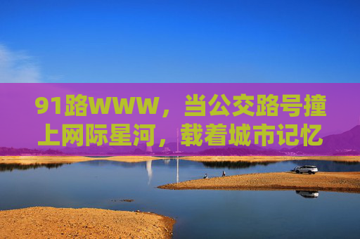 91路WWW,当公交路号撞上网际星河,载着城市记忆驶向数字黎明,91路WWW,撞网际星河,载城市记忆驶向数字黎明 91路WWW,当公交路号撞上网际星河,载着城市记忆驶向数字黎明,91路WWW,撞网际星河,载城市记忆驶向数字黎明
