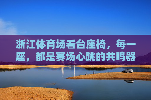 浙江体育场看台座椅，每一座，都是赛场心跳的共鸣器，浙江体育场看台座椅，赛场心跳的共鸣器
