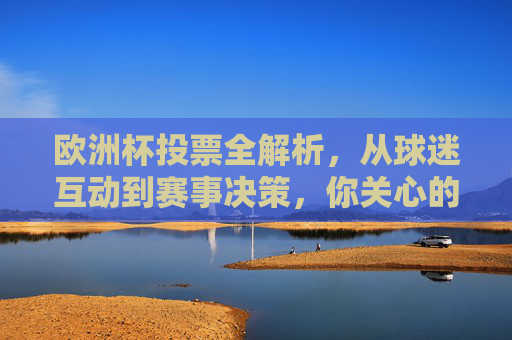 欧洲杯投票全解析，从球迷互动到赛事决策，你关心的投票规则都在这，欧洲杯投票全解析，球迷互动、赛事决策与规则详解