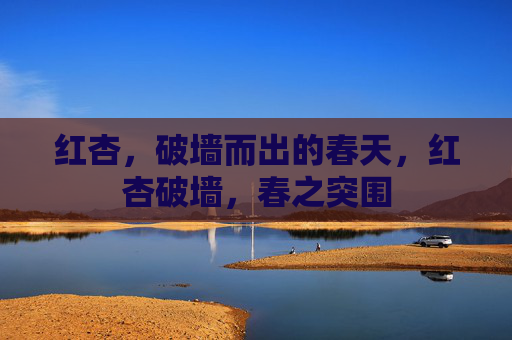 红杏，破墙而出的春天，红杏破墙，春之突围