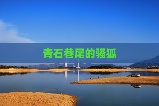 青石巷尾的骚狐 青石巷尾的骚狐