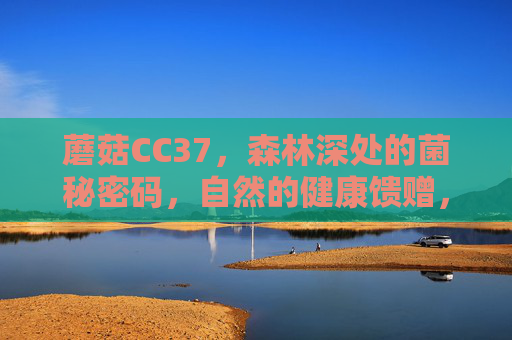 蘑菇CC37,森林深处的菌秘密码,自然的健康馈赠,蘑菇CC37,森林深处的菌秘密码与自然健康馈赠 蘑菇CC37,森林深处的菌秘密码,自然的健康馈赠,蘑菇CC37,森林深处的菌秘密码与自然健康馈赠