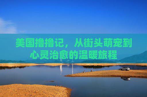 美国撸撸记,从街头萌宠到心灵治愈的温暖旅程 美国撸撸记,从街头萌宠到心灵治愈的温暖旅程