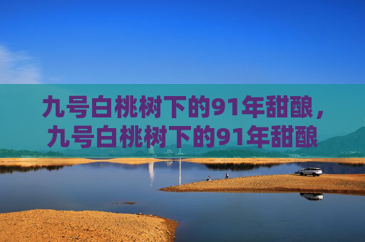 九号白桃树下的91年甜酿,九号白桃树下的91年甜酿 九号白桃树下的91年甜酿,九号白桃树下的91年甜酿