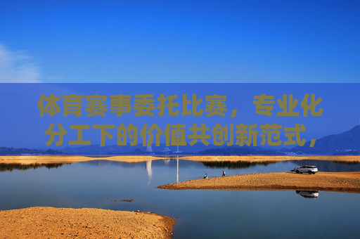 体育赛事委托比赛,专业化分工下的价值共创新范式,体育赛事委托,专业化分工下的价值共创新范式 体育赛事委托比赛,专业化分工下的价值共创新范式,体育赛事委托,专业化分工下的价值共创新范式
