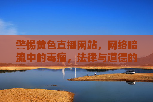 警惕黄色直播网站，网络暗流中的毒瘤，法律与道德的双重禁区，黄色直播网站，网络暗流毒瘤，法律道德双重禁区