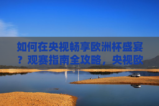如何在央视畅享欧洲杯盛宴?观赛指南全攻略,央视欧洲杯观赛指南,畅享盛宴全攻略 如何在央视畅享欧洲杯盛宴?观赛指南全攻略,央视欧洲杯观赛指南,畅享盛宴全攻略