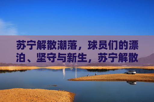 苏宁解散潮落,球员们的漂泊、坚守与新生,苏宁解散潮落,球员漂泊、坚守与新生 苏宁解散潮落,球员们的漂泊、坚守与新生,苏宁解散潮落,球员漂泊、坚守与新生