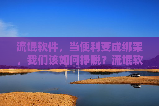 流氓软件,当便利变成绑架,我们该如何挣脱?流氓软件,便利绑架,挣脱之道 流氓软件,当便利变成绑架,我们该如何挣脱?流氓软件,便利绑架,挣脱之道
