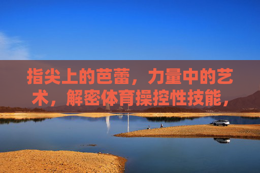 指尖上的芭蕾,力量中的艺术,解密体育操控性技能,指尖芭蕾,力量操控的艺术解密 指尖上的芭蕾,力量中的艺术,解密体育操控性技能,指尖芭蕾,力量操控的艺术解密