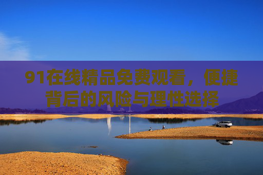91在线精品免费观看，便捷背后的风险与理性选择