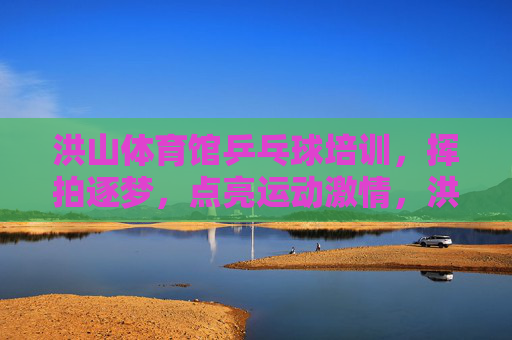 洪山体育馆乒乓球培训，挥拍逐梦，点亮运动激情，洪山体育馆乒乓球培训，挥拍逐梦，点亮运动激情