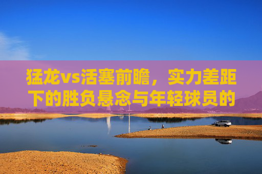 猛龙vs活塞前瞻，实力差距下的胜负悬念与年轻球员的博弈，猛龙战活塞前瞻，实力差距悬殊，胜负悬念与年轻球员博弈