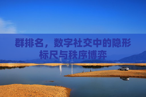 群排名,数字社交中的隐形标尺与秩序博弈 群排名,数字社交中的隐形标尺与秩序博弈
