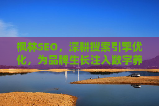 枫林SEO,深耕搜索引擎优化,为品牌生长注入数字养分,枫林SEO,深耕搜索引擎优化,为品牌生长注入数字养分 枫林SEO,深耕搜索引擎优化,为品牌生长注入数字养分,枫林SEO,深耕搜索引擎优化,为品牌生长注入数字养分