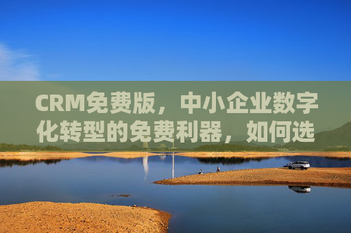 CRM免费版,中小企业数字化转型的免费利器,如何选对用好?CRM免费版,中小企业数字化转型的选对与用好 CRM免费版,中小企业数字化转型的免费利器,如何选对用好?CRM免费版,中小企业数字化转型的选对与用好