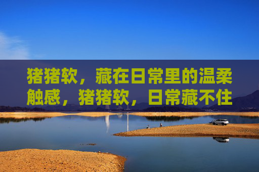 猪猪软,藏在日常里的温柔触感,猪猪软,日常藏不住的温柔触感 猪猪软,藏在日常里的温柔触感,猪猪软,日常藏不住的温柔触感
