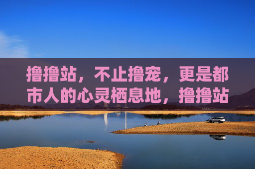 撸撸站,不止撸宠,更是都市人的心灵栖息地,撸撸站,不止撸宠,更是都市人的心灵栖息地 撸撸站,不止撸宠,更是都市人的心灵栖息地,撸撸站,不止撸宠,更是都市人的心灵栖息地