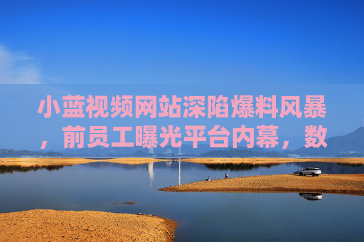 小蓝视频网站深陷爆料风暴，前员工曝光平台内幕，数据造假、隐私泄露引哗然，小蓝视频深陷爆料风暴，前员工曝光数据造假、隐私泄露引哗然