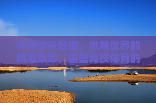 体育纳米数据，微观世界的精准革命，重塑竞技体育的细节密码，体育纳米数据，微观精准重塑竞技细节密码
